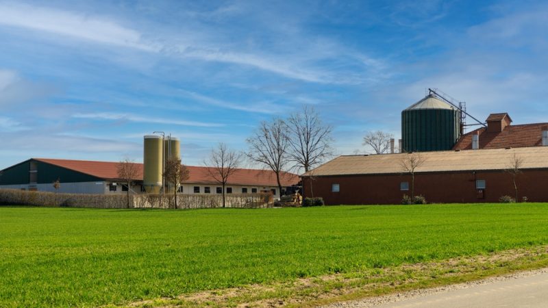 En Allemagne, 10 exploitations agricoles font faillite chaque jour