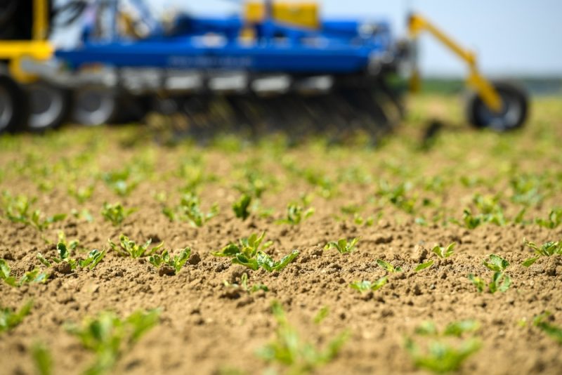 Sortie du glyphosate : les résultats contrastés des fermes expérimentales françaises