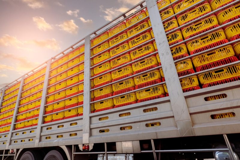 Dans l’UE, la controverse sur les importations de céréales ukrainiennes s’étend à d’autres produits