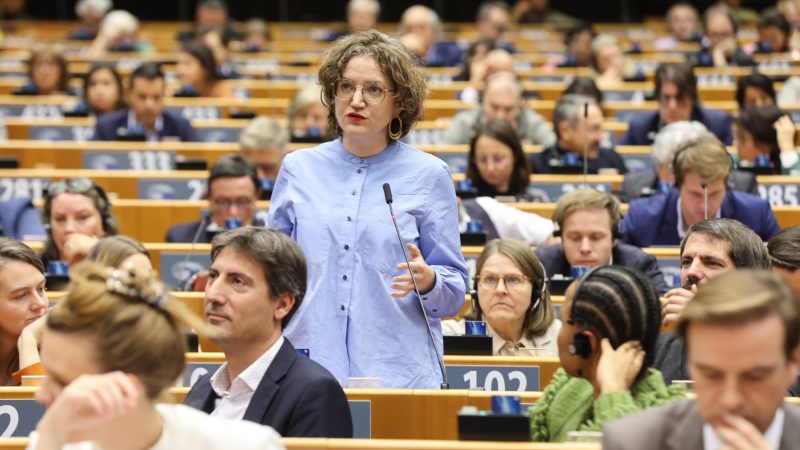 Les Verts français réclament une « coalition » contre l’accord UE-Mercosur auprès d'Emmanuel Macron