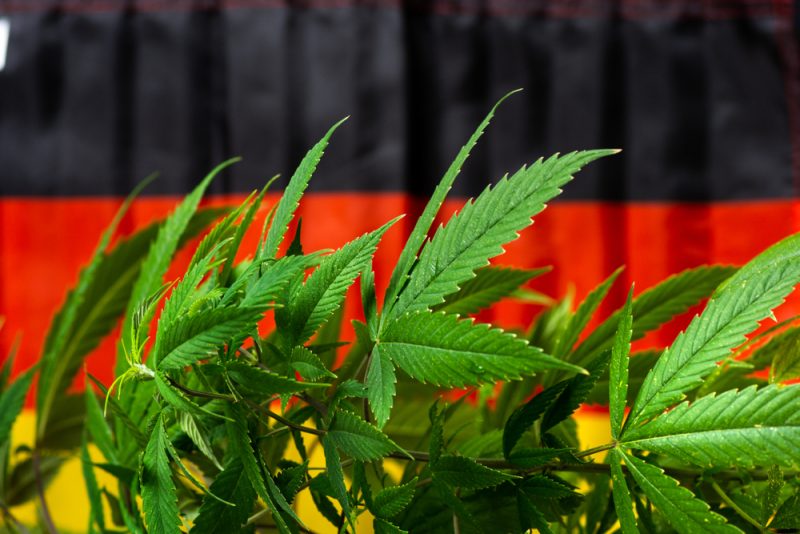 Les sociaux-démocrates allemands se déchirent sur la légalisation du cannabis