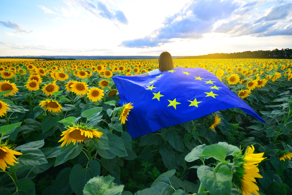 European,Union,Flag,In,Female,Hands,Against,The,Sunflowers,Field