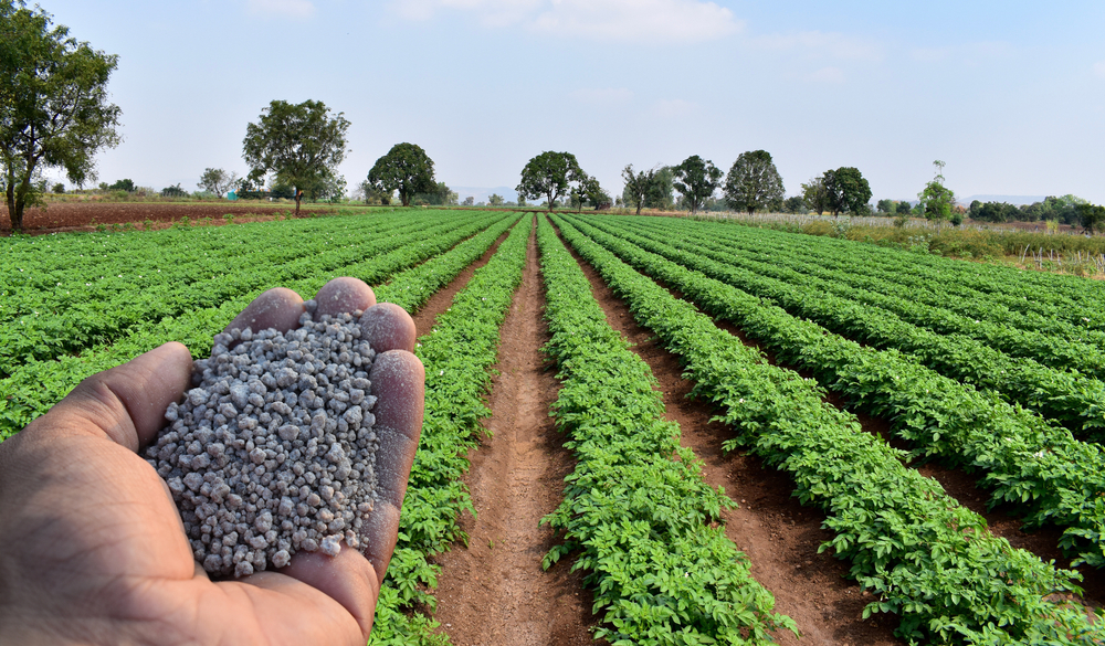 Hand,Holding,Agriculture,Fertilizer,Or,Fertiliser,Granules,With,Background,Of