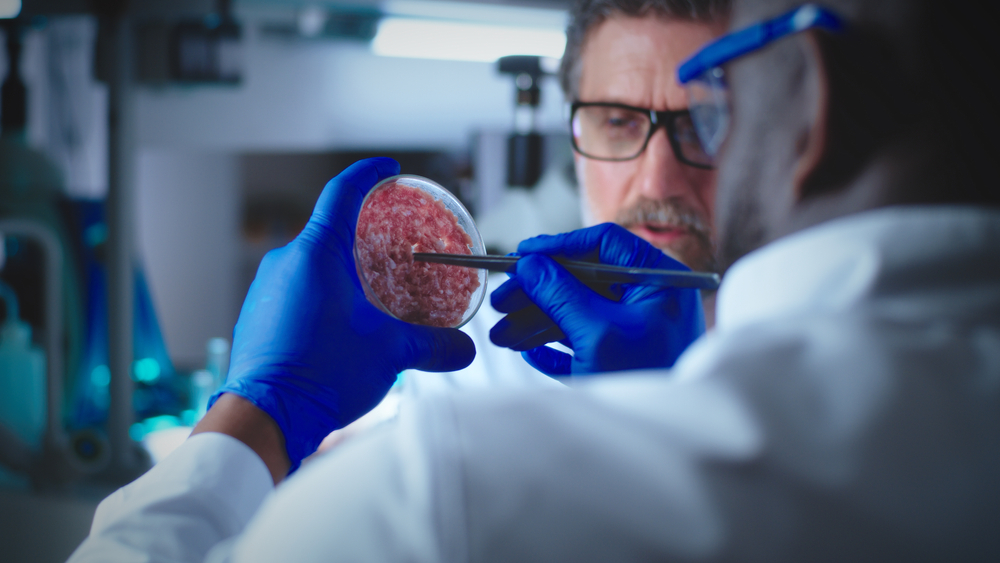 Diverse,Colleagues,Discussing,Lab,Grown,Meat
