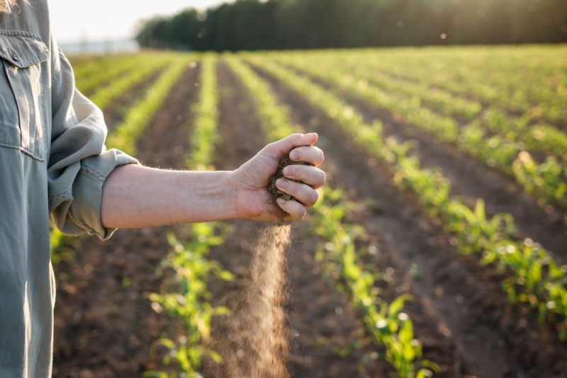 L’agriculture, un domaine clé pour atteindre les objectifs climatiques 2040 de l’UE, selon la Commission