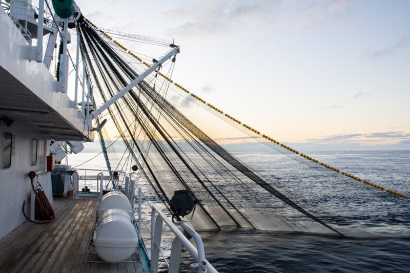 La justice de l'UE confirme des quotas de pêche contestés par des ONG