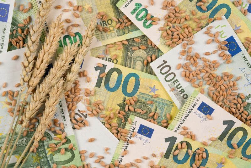 La Bulgarie insiste sur l’instauration de quotas pour les importations de céréales ukrainiennes