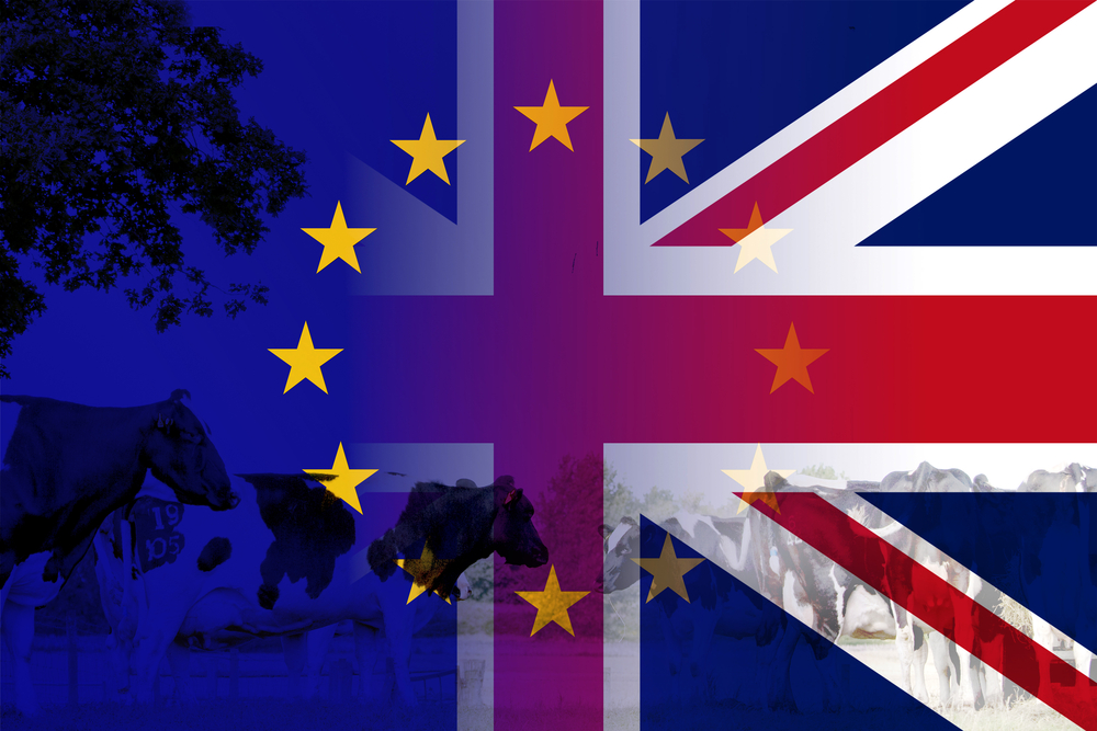 Dairy,Farming,And,The,Impact,Of,Brexit
