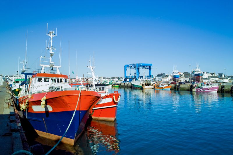 Dans le Golfe de Gascogne, la protection des dauphins et l'angoisse des pêcheurs