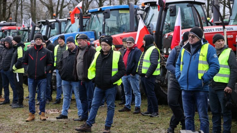 Des agriculteurs d'Europe de l’Est se retrouvent pour manifester ensemble