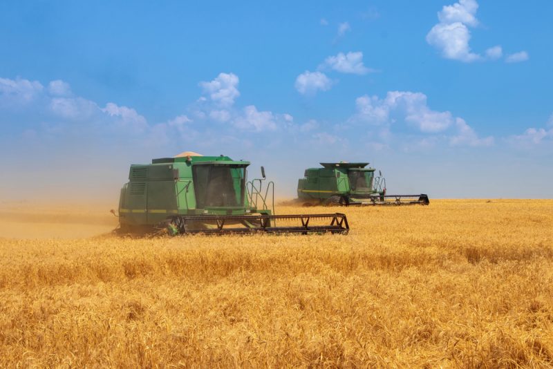 Céréales ukrainiennes : les producteurs demandent à la France de « peser de tout son poids » à Bruxelles pour limiter les importations