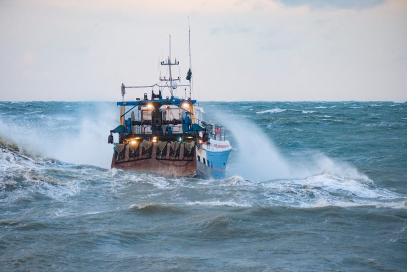 La Commission veut renforcer les interdictions de pêche dans le golfe de Gascogne
