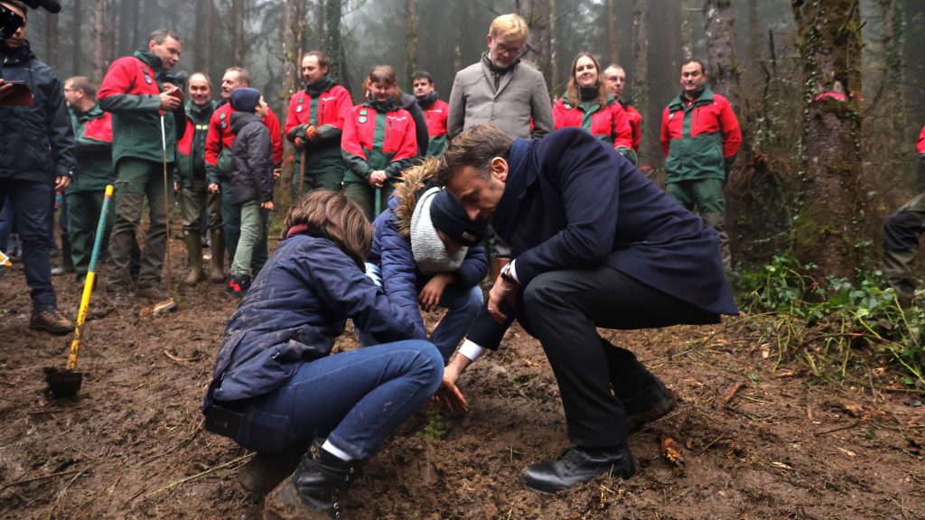 L’objectif du milliard d’arbres en 10 ans d’Emmanuel Macron laisse les scientifiques et les ONG sceptiques
