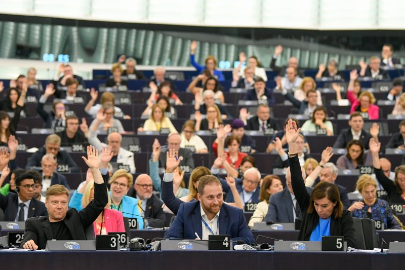 Environnement : les bons et mauvais élèves du Parlement européen, selon l'ONG Bloom