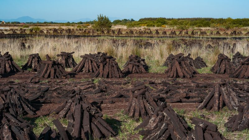 Alors que l’élan politique en faveur de la biodiversité s’essouffle, l’UE sévit contre les États membres