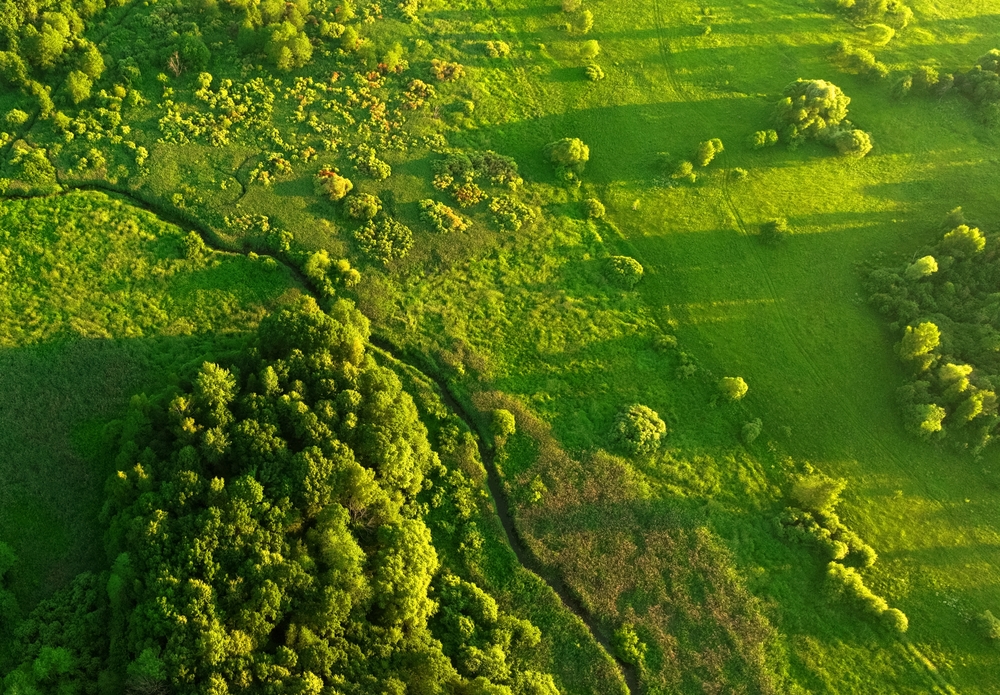 Zigzag,River,In,Wild.,Water,Supply.,Small,River,In,Field