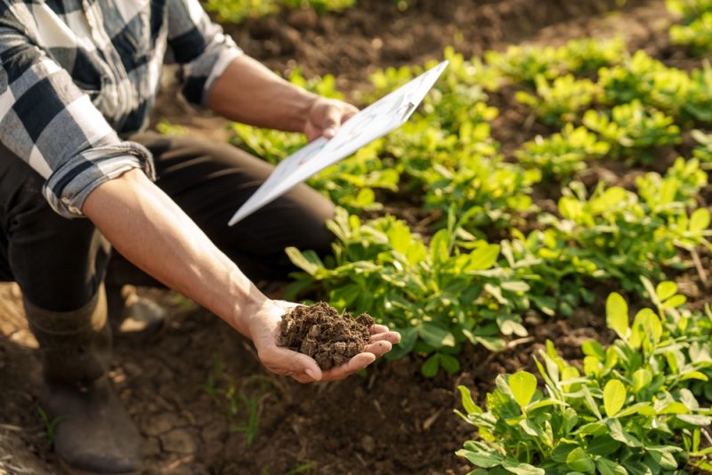 La commission de l’Environnement demande un calendrier pour protéger la santé des sols