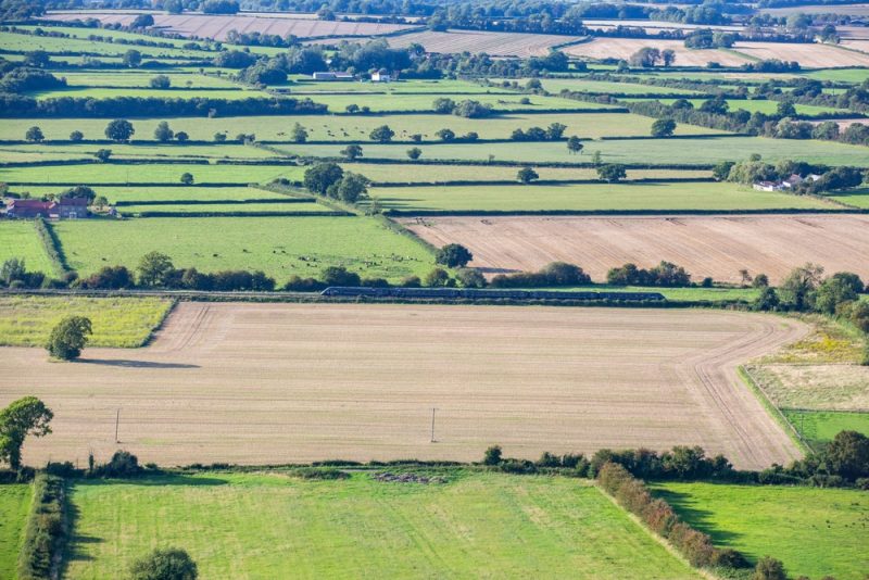Manifestations des agriculteurs : la Commission prend des mesures pour réduire la bureaucratie