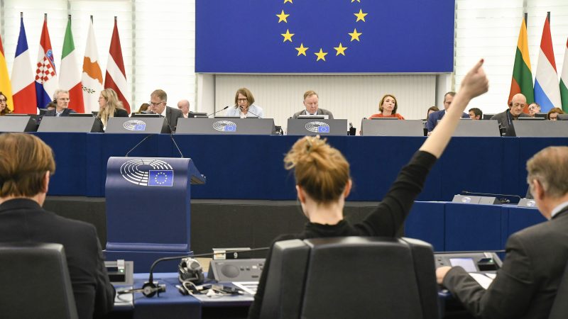 Élections européennes : sur le climat, une coalition d’ONG délivre ses bons et mauvais points aux partis français