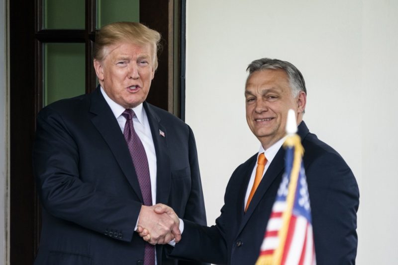 Élections européennes : les trumpistes européens organisent une série de rassemblements politiques