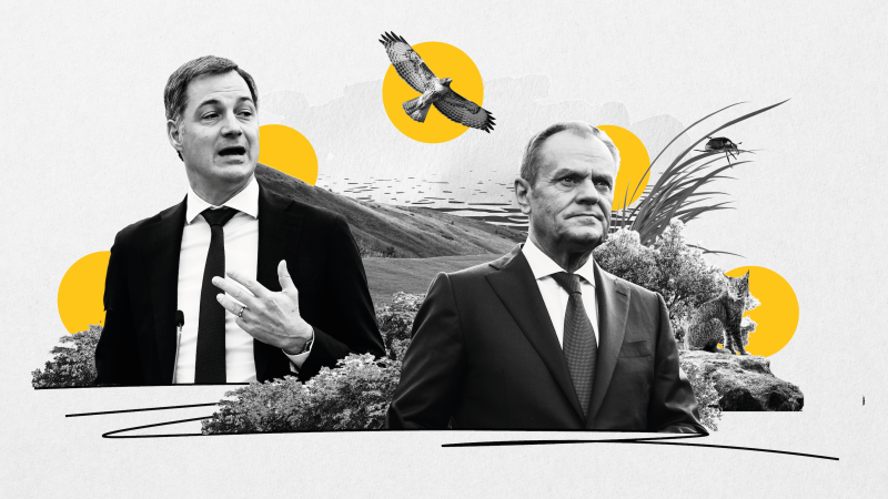 Loi sur la restauration de la nature : l’opposition du Conseil de l’UE se renforce