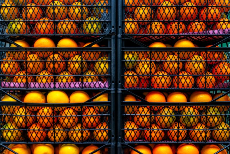 L’Afrique du Sud conteste devant l’OMC les restrictions imposées par l’UE au commerce des agrumes