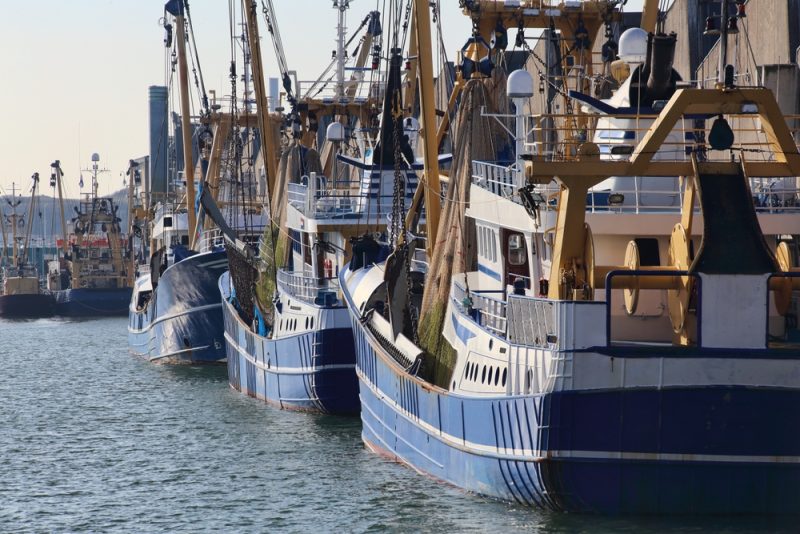 Les États membres continuent la pêche de fond dans les aires marines protégées, malgré les recommandations de l’UE