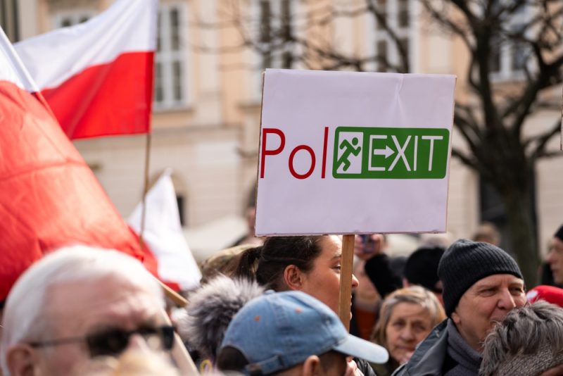 Européennes : l’extrême droite polonaise réclame un "Polexit"