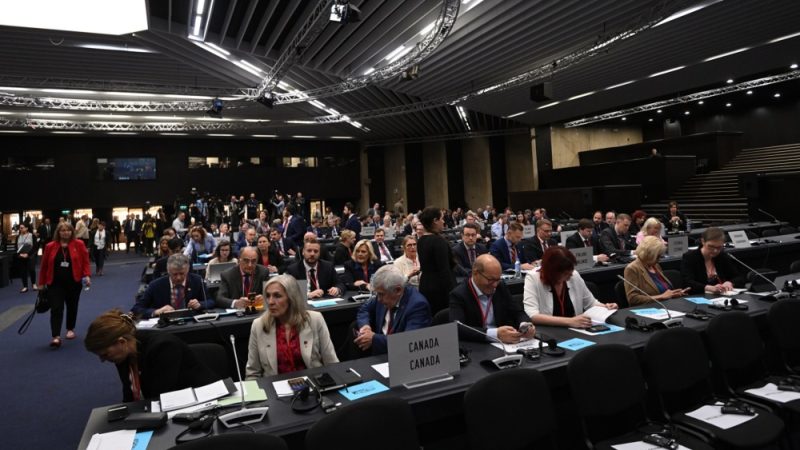 Les membres de l’OTAN appellent à lever toute restriction sur l’utilisation par l’Ukraine d’armes occidentales