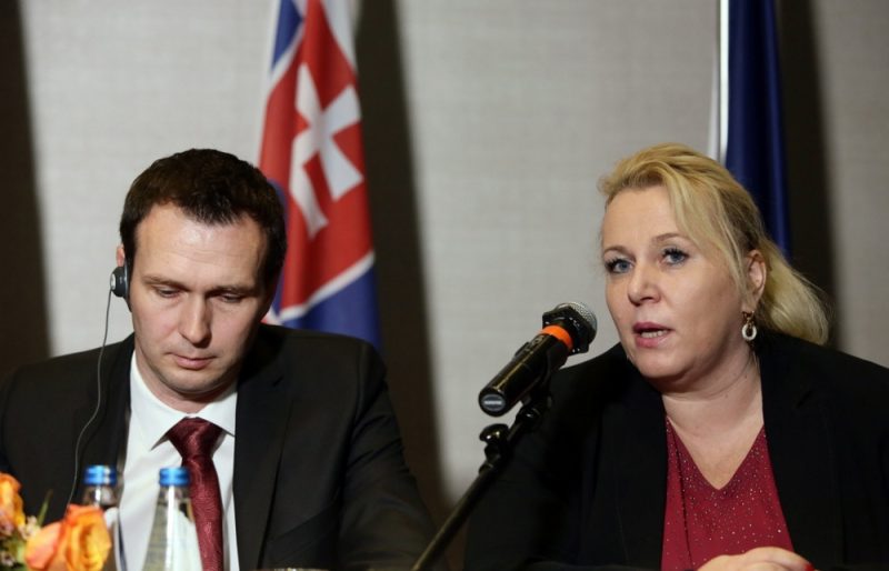 Le parti tchèque ANO prône la souveraineté nationale et s'éloigne de ses partenaires libéraux européens