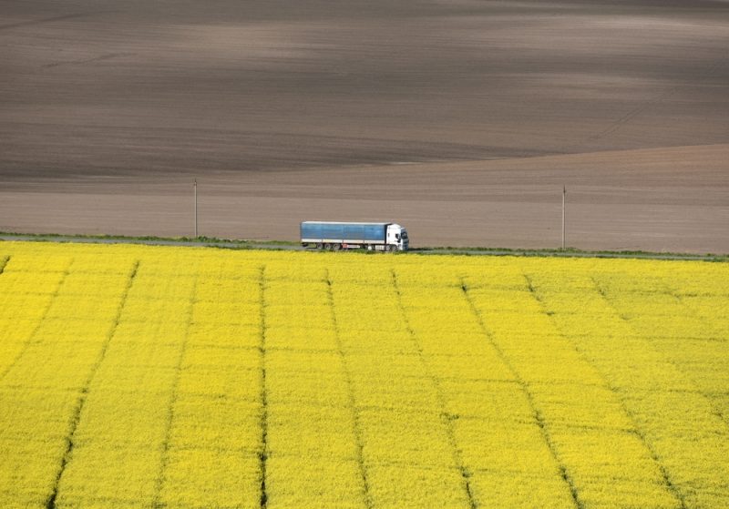 Élevage : la Commission dévoile son plan pour diminuer les importations de protéines