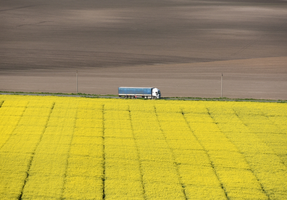 Truck,Goes,On,The,Road,On,Flowering,Rape,Field.,Rural