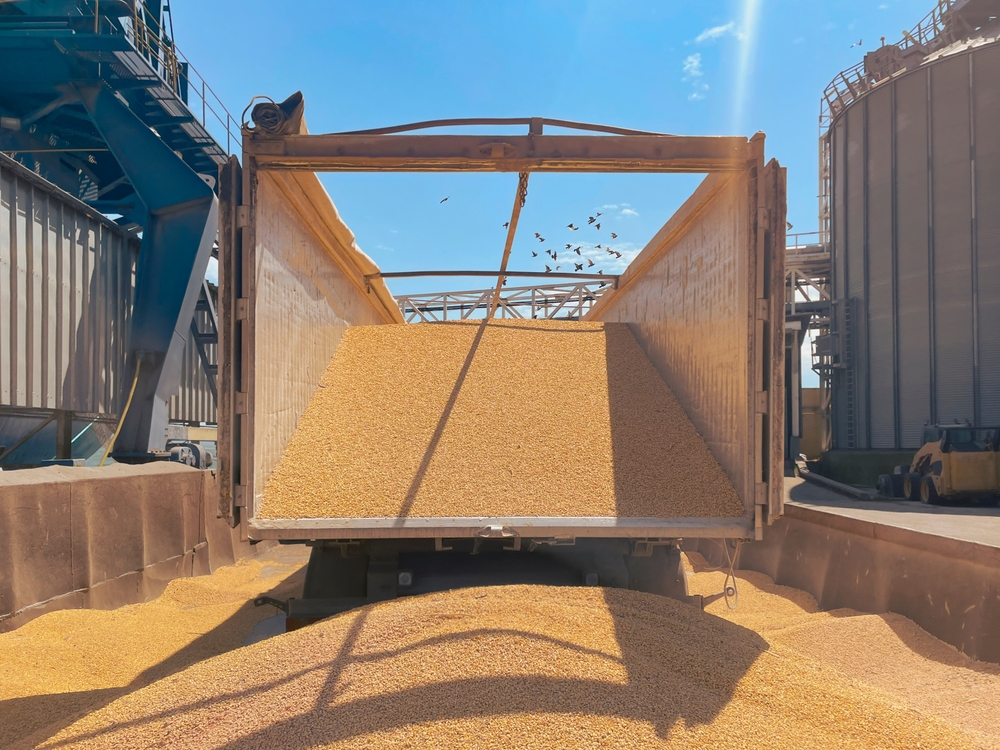 International,Grain,Trade,And,Delivery.,Dry,Cargo,Vessel,In,The