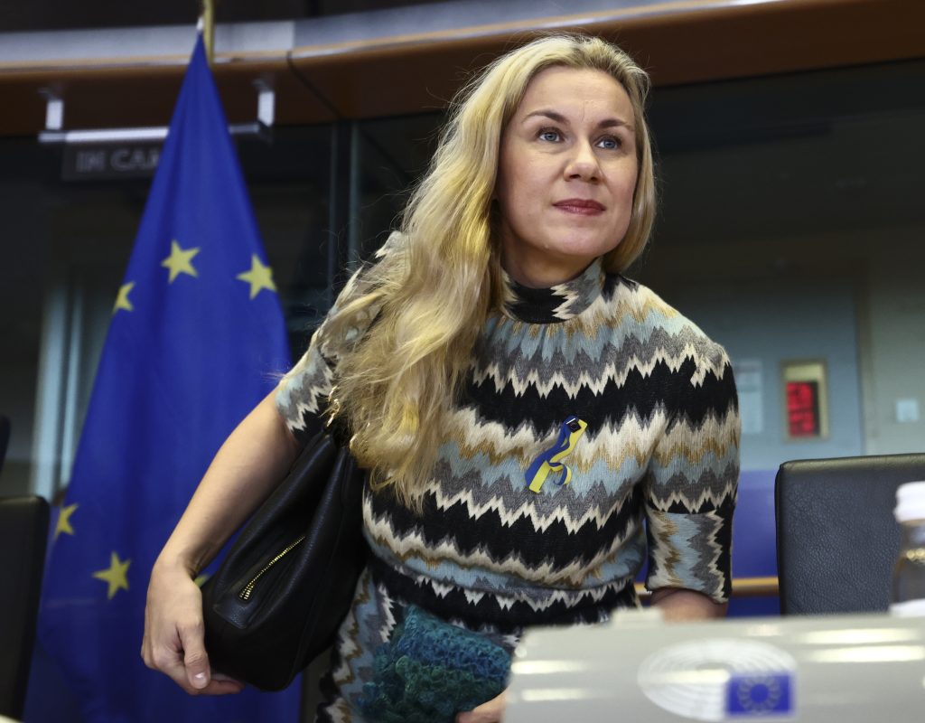 European Parliament committee on Energy