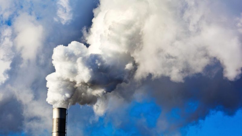 À la tête du Conseil de l’UE début 2025, la Pologne entend réviser les politiques environnementales