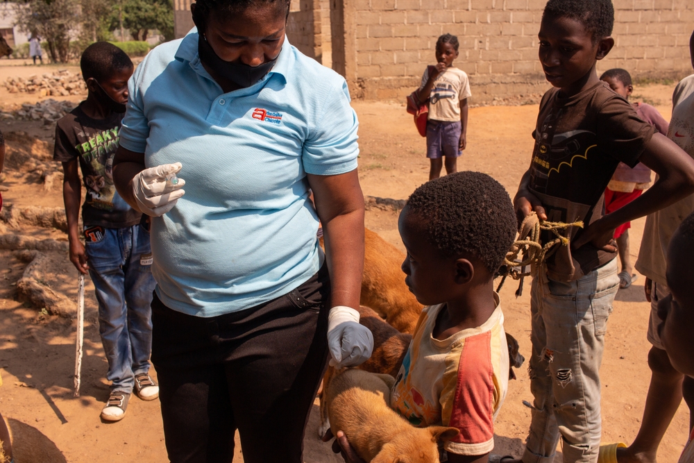Manica,,Mozambique,-,September,28,,2021:,Start,Of,Mass,Vaccination