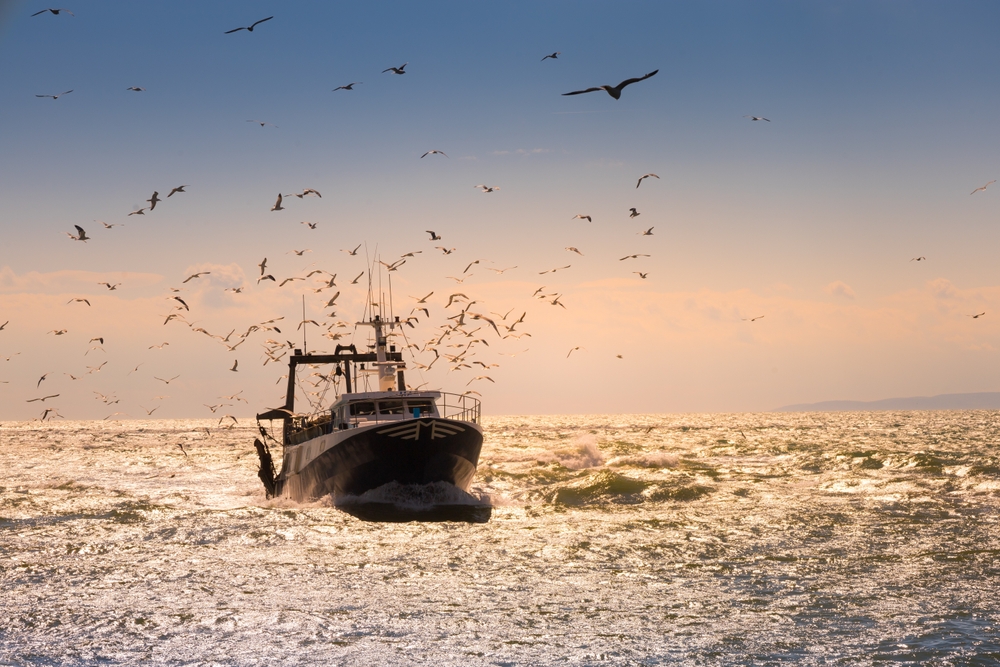 Trawler,In,The,Mediterranean,Sea,Returning,From,Fishing,With,Seagulls