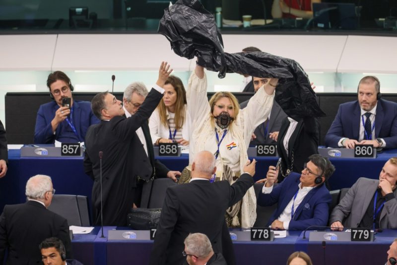 Une eurodéputée roumaine d’extrême droite expulsée de l’hémicycle à Strasbourg