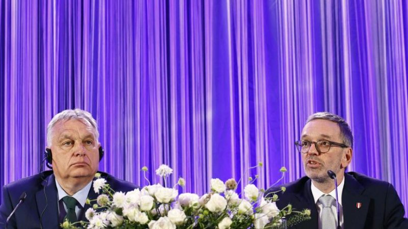 La nouvelle alliance entre le Fidesz de Viktor Orbán et l'ANO d'Andrej Babiš ouvre de nouveaux horizons à l’AfD