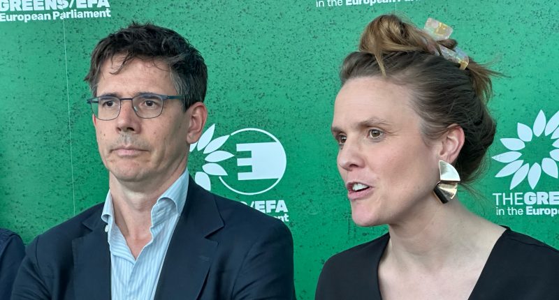 Les Verts insistent sur la nécessité d’une coalition pro-UE solide au Parlement européen