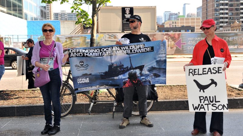 Des députés français et européens se mobilisent contre l'arrestation du fondateur de Sea Shepherd