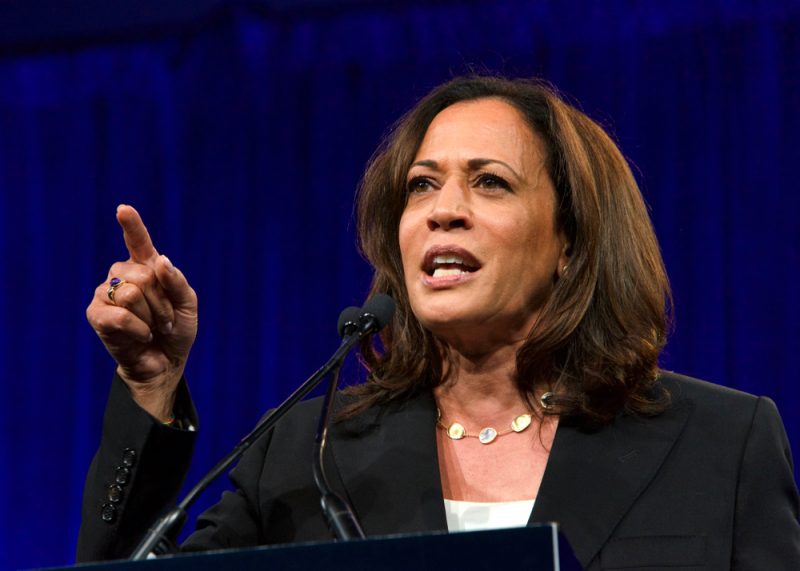 Présidentielle américaine : le long combat environnemental de Kamala Harris