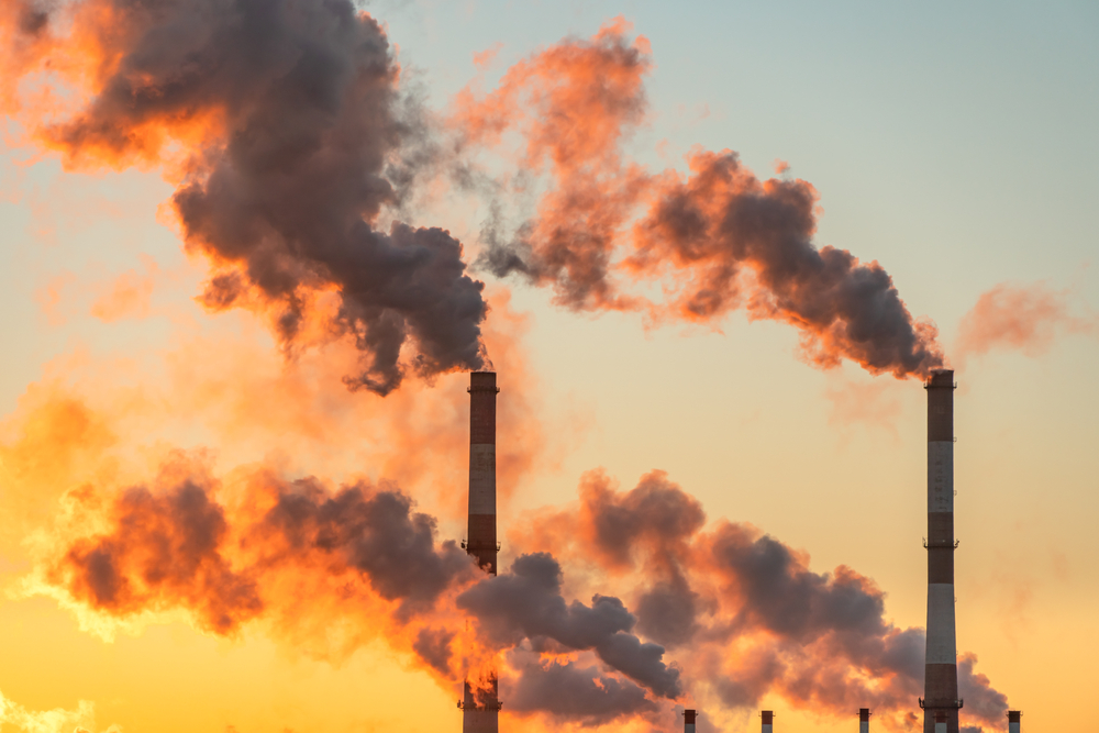 L’industrie ne peut pas compter sur les émissions négatives pour atteindre l’objectif climatique de 2039, selon les experts