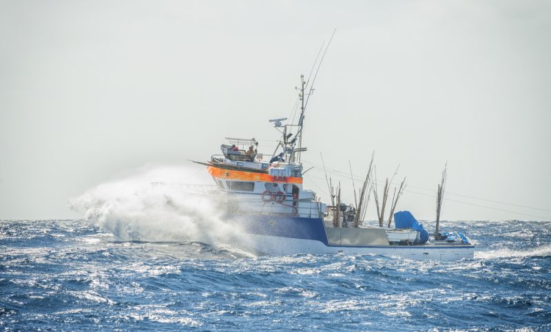 Accord avec le Royaume-Uni, réforme de la PCP : avis de tempête à la commission de la pêche du Parlement européen