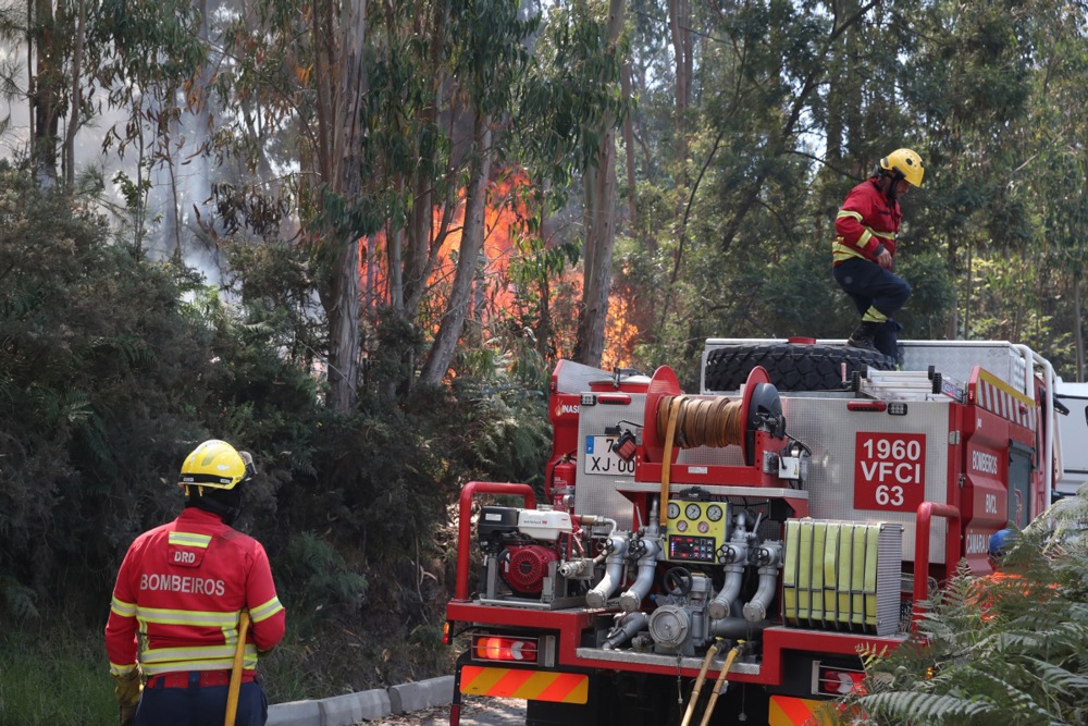 Forest fire in Madeira Island