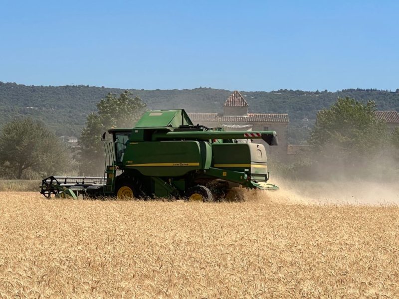 La France céréalière sonnée face à une moisson de blé « catastrophique »