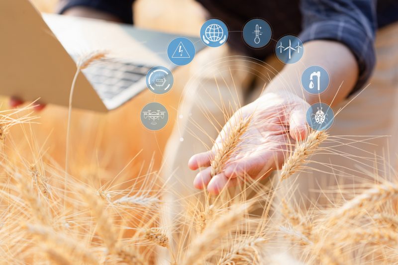 Négoce agricole : feu vert de l'UE, sous conditions, au rachat de Viterra par Bunge