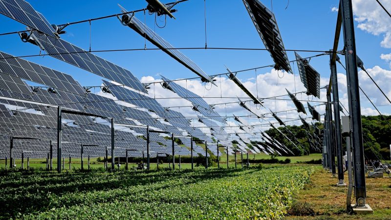 L’agrivoltaïsme : une solution bénéfique pour les agriculteurs et le climat