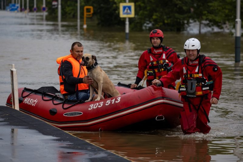 Inondations en Pologne : un porte-parole ministériel quitte son poste après une polémique sur un prêt pour les sinistrés