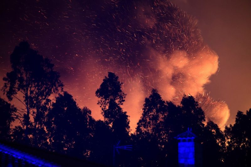 L'Espagne mobilise son armée pour aider le Portugal à lutter contre les feux de forêt